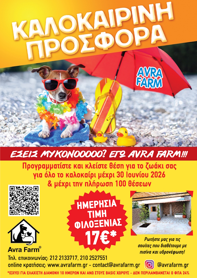 SUMMEROFFER-2026.jpg