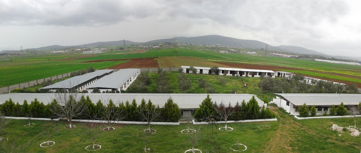 Πανοραμική Άποψη της Πανσιόν Ζώων Avra Farm