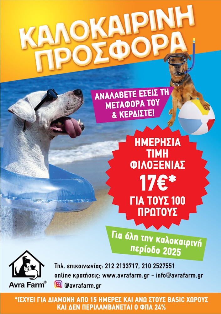 summeroffer2025.jpg