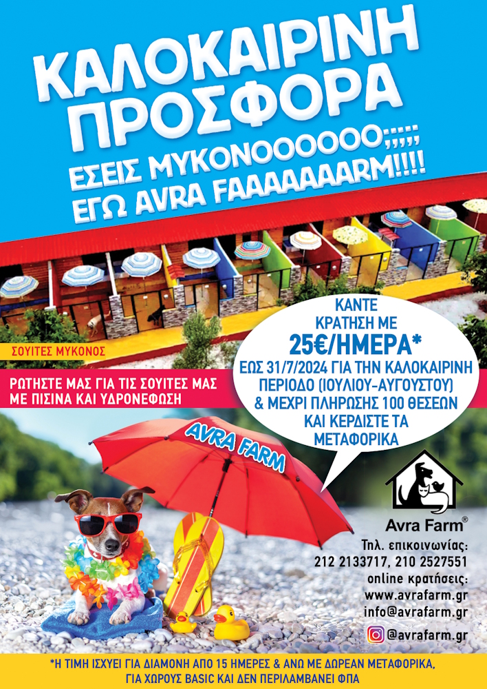 summeroffer2025b.jpg